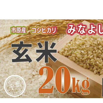 みなよし米【市原産コシヒカリ・玄米】20Kg　【玄米・お米・コシヒカリ】　お届け：毎年10月1日～