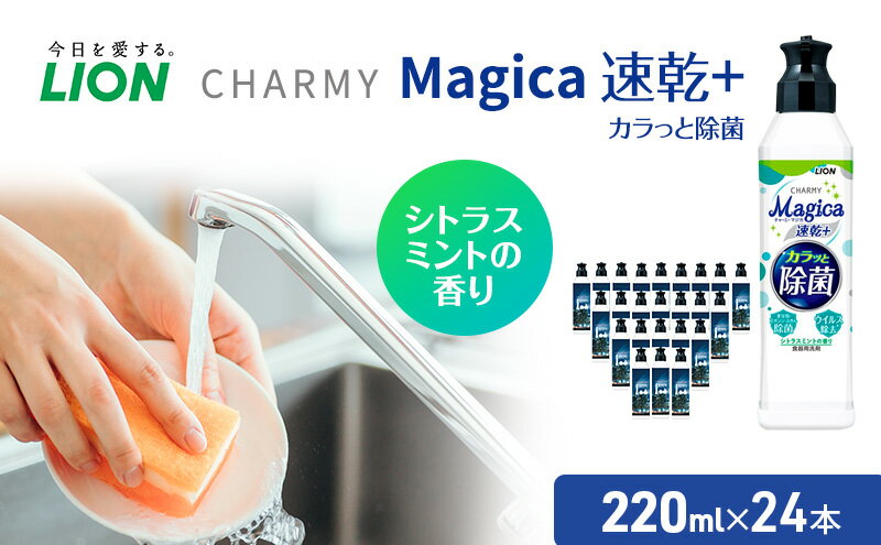 【ふるさと納税】洗剤 CHARMY Magica チャーミー マジカ 速乾プラス カラっと除菌 シトラスミント 24本 セット 市原工場夜景デザイン オリジナルパッケージ ライオン 日用品 消耗品 食器用洗剤 食器洗剤 台所洗剤 除菌 キッチン 食器 ギフト　【 市原市 】