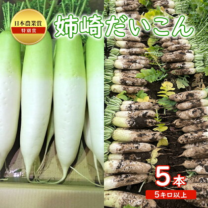 日本農業賞の特別賞　姉崎大根 5本　5キロ以上　【 野菜 大根 】　お届け：2024年5月24日まで