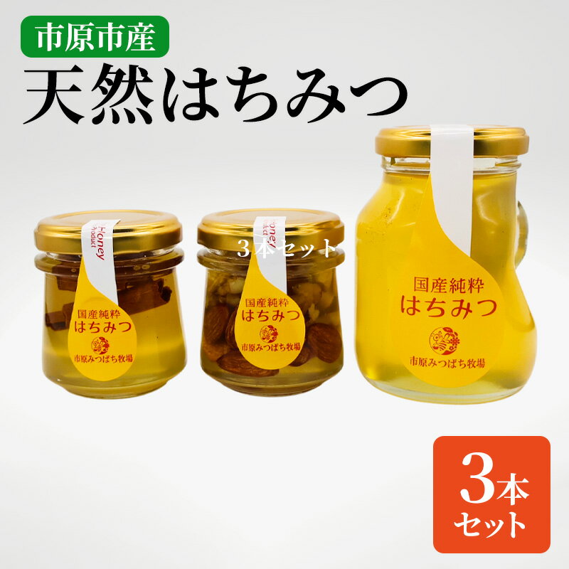 【ふるさと納税】市原みつばち牧場天然はちみつ3本セット　【蜂蜜・はちみつ】