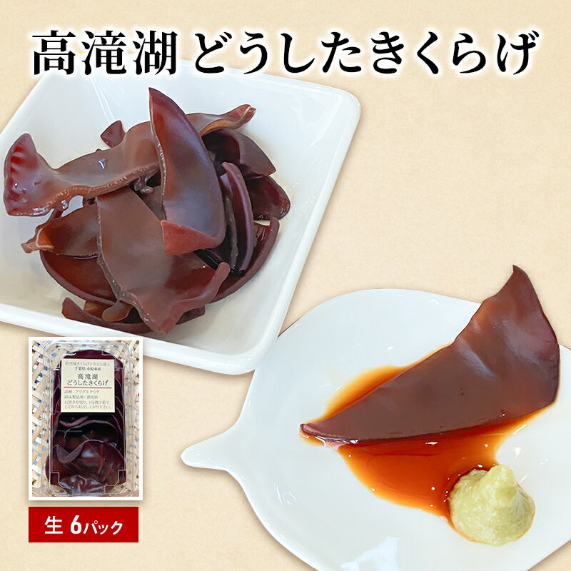 【ふるさと納税】高滝湖どうしたきくらげ 生6パック 防空壕きくらげシステム導入 野菜 きのこ 生キクラゲ 肉厚 食材 料理 調理 炒め物 スープ 国産 国産野菜...