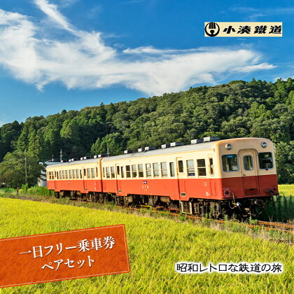 一日フリー乗車券ペアセット　【 体験チケット 乗車券 電車 】