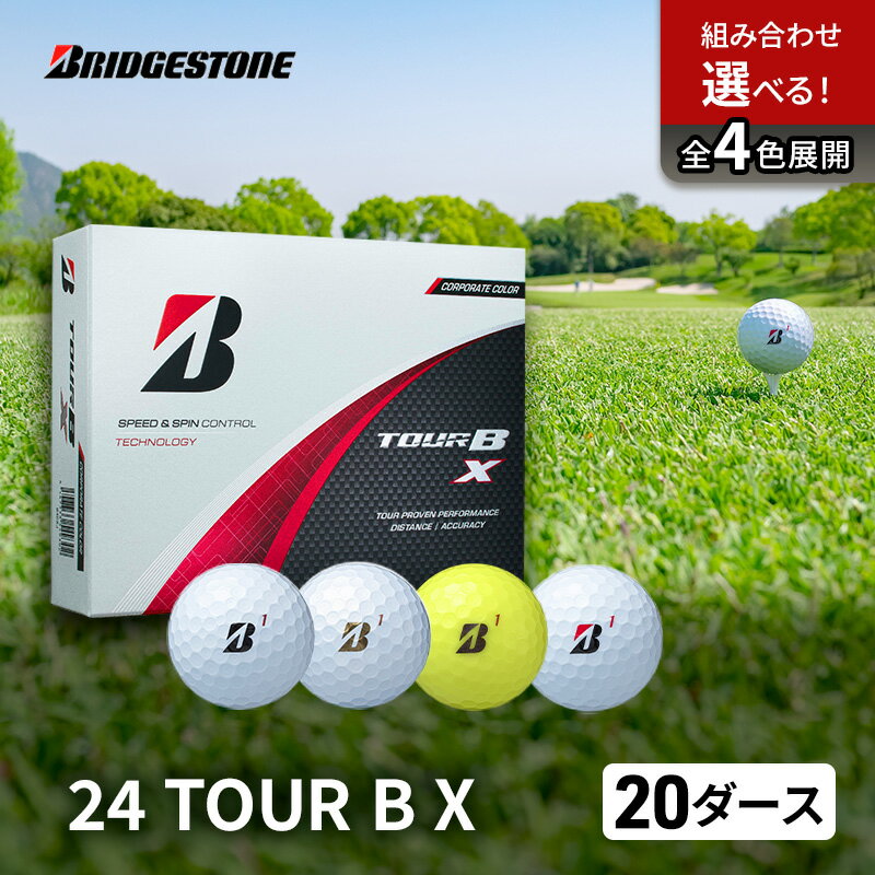 【ふるさと納税】ゴルフ 24 TOUR BX 20ダース ゴルフボール ボール ブリヂストン ダース セット
