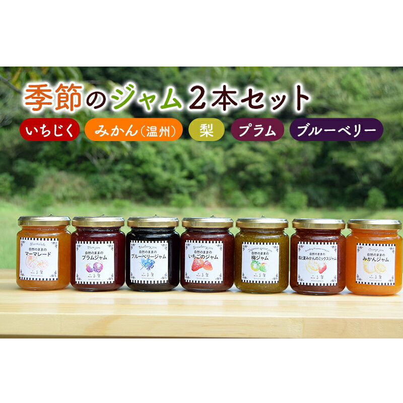 【ふるさと納税】ジャム 季節のジャム2本セット 手作り フルーツ くだもの セット 千葉県 いちじく みかん 梨 プラム ブルーベリー パン ヨーグルト