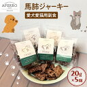 【ふるさと納税】愛犬愛猫用副食 馬肺ジャーキー 20g×5個 ペット ペット用おやつ ペットフード 愛犬 愛猫 わんちゃん ねこちゃん 犬 猫 馬肺 馬肉 ご褒...