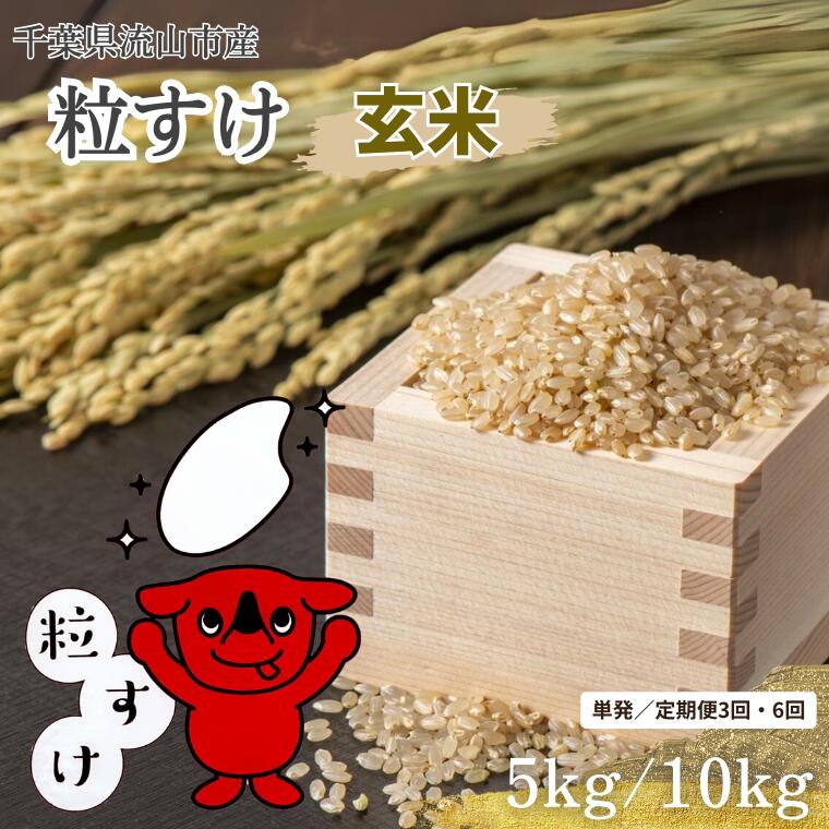 【ふるさと納税】粒すけ 米 5kg 10kg 玄米 新品種 大粒子 単発 定期便