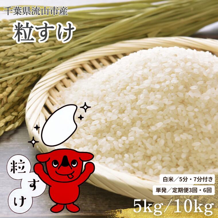 【ふるさと納税】粒すけ 米 5kg 10kg 白米 5分搗き 7分搗き 新品種 大粒子 単発 定期便