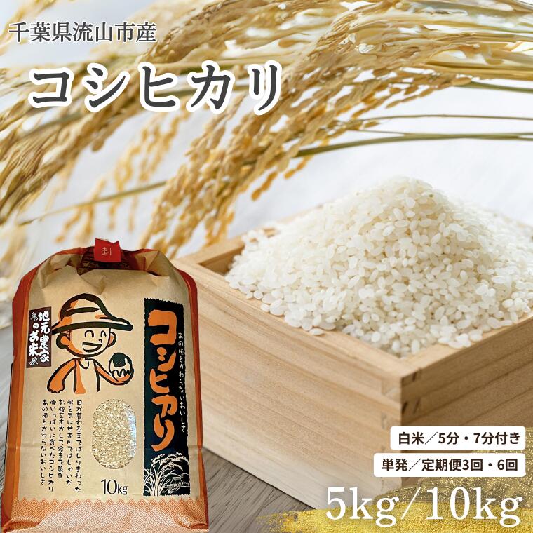 【ふるさと納税】コシヒカリ 米 5kg 10kg 新川耕地 白米 5分搗き 7分搗き 単発 定期便