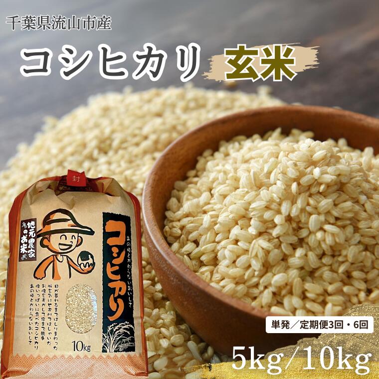 コシヒカリ 米 5kg 10kg 新川耕地 玄米 単発 定期便