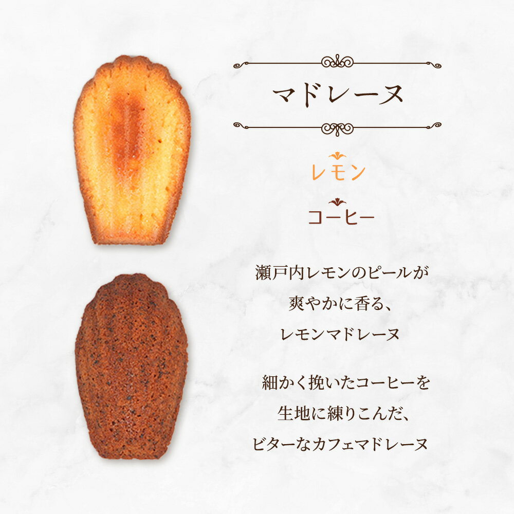 【ふるさと納税】焼き菓子 詰合せ troncのおまかせ焼き菓子セット 10個 個包装 マドレーヌ フィナンシェ パウンドケーキ