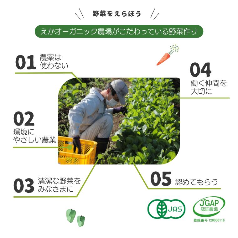 【ふるさと納税】野菜 定期便 毎月定期便3回 えか野菜 おまかせ 5～7種セット 有機JAS認定