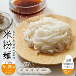 【ふるさと納税】米粉麺 国産 流山のおいしいおこめで作った米粉麺 1食120g 5食 10食 20食 単発 定期便 グルテンフリー