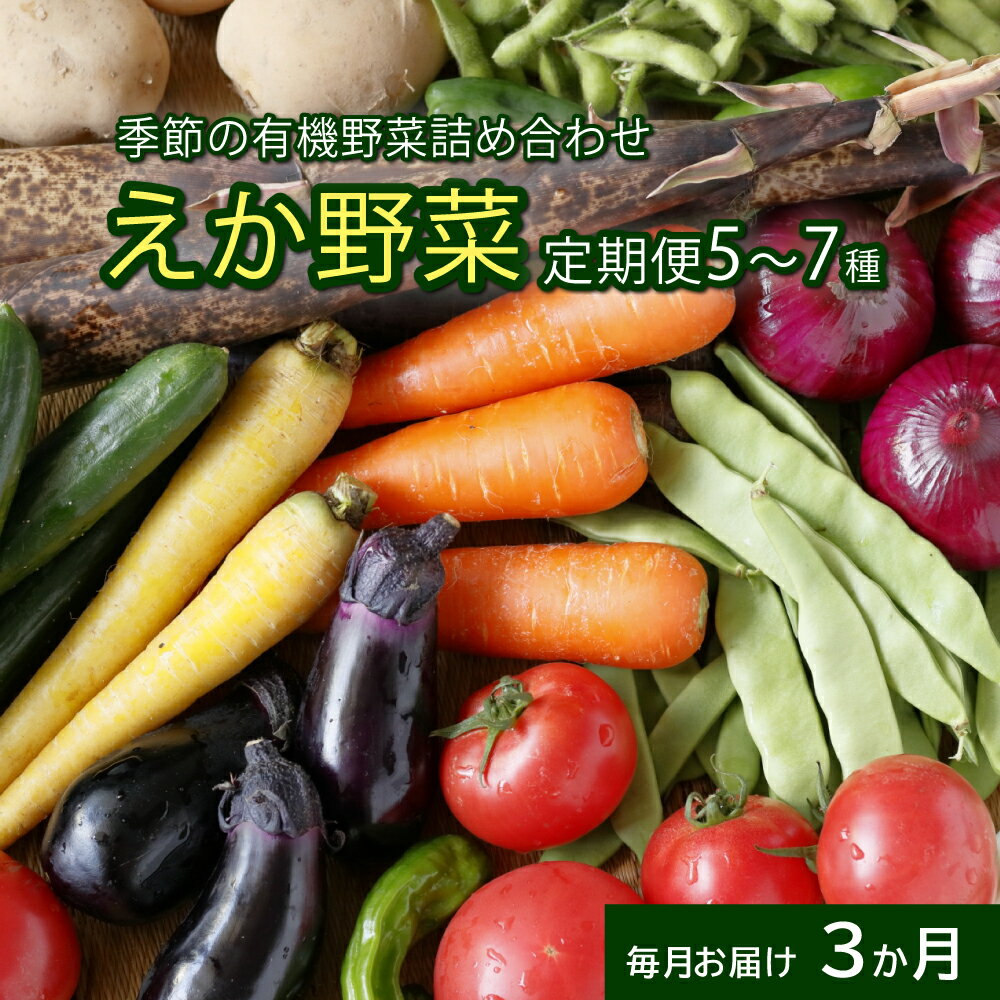 野菜 定期便 毎月定期便3回 えか野菜 おまかせ 5～7種セット 有機JAS認定