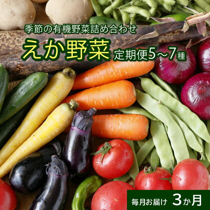 野菜 定期便 毎月定期便3回 えか野菜 おまかせ 5～7種セット 有機JAS認定