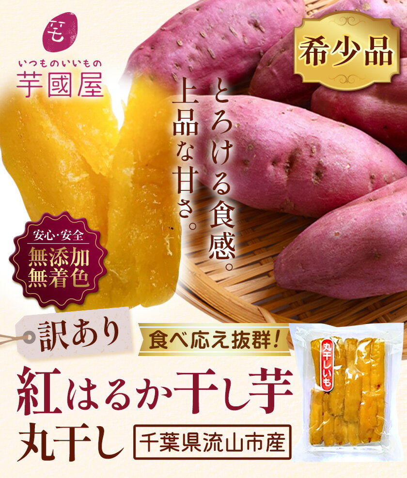 千葉県流山市の画像2