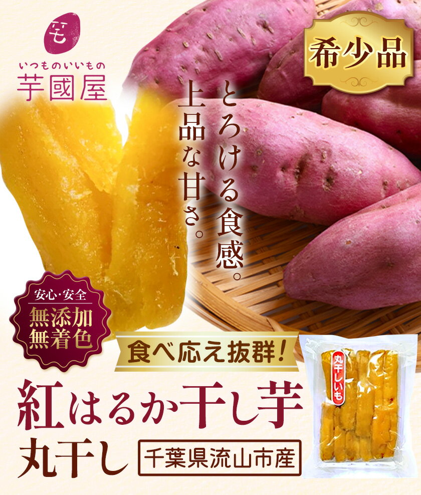 千葉県流山市の画像2