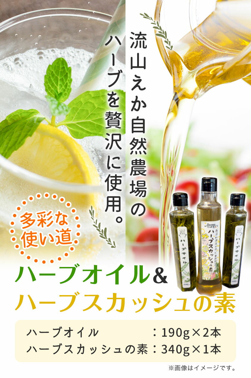 【ふるさと納税】ハーブオイル 190g×2本 ハーブスカッシュの素 340g×1本 流山えか 自然農場 詰め合わせ 《30日以内に出荷予定(土日祝除く)》 ブラッスリーしんかわ 千葉県 流山市