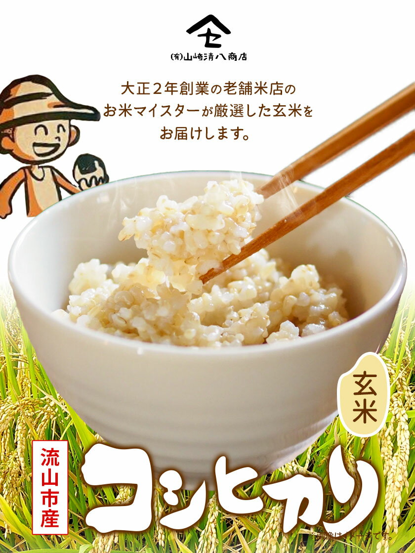 【ふるさと納税】米 コシヒカリ 新川耕地・減農薬コシヒカリ 玄米 5kg 10kg 有限会社山崎清八商店 千葉県 流山市 新川耕地 単発 定期便 送料無料