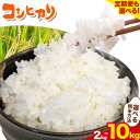 【ふるさと納税】コシヒカリ 米 2kg 5kg 10kg 新川耕地 白米 5分搗き 7分搗き 単発 定期便 千葉県 流山市 送料無料 米 こめ ごはん 定期便 ...