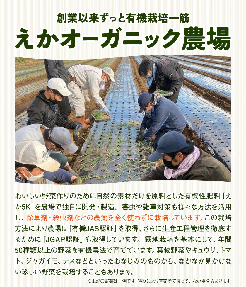 【ふるさと納税】野菜狩りチケット 10月-12月 株式会社えか自然農場《30日以内に出荷予定(土日祝除く)》収穫 体験 野菜 やさい チケット 流山市 3