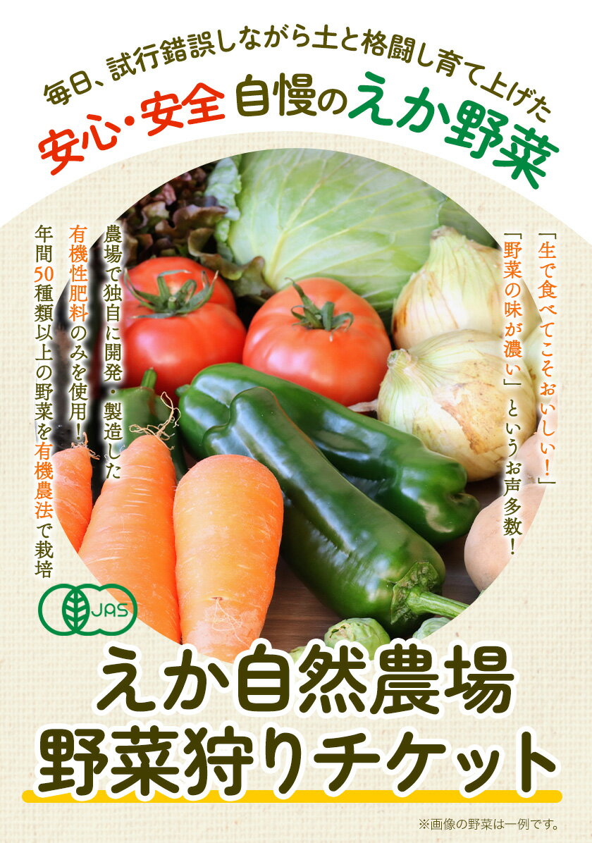 【ふるさと納税】野菜狩りチケット 10月-12月 株式会社えか自然農場《30日以内に出荷予定(土日祝除く)》収穫 体験 野菜 やさい チケット 流山市 2