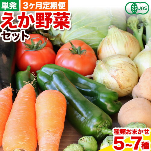 えか野菜 おまかせ5〜7種セット 有機JAS認定 株式会社えか自然農場 千葉県 流山市 オーガニック 無農薬 化学肥料不使用 旬 送料無料