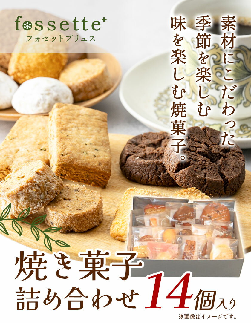 【ふるさと納税】お菓子 クッキー 焼き菓子 詰め合わせ 14個 セット 焼き菓子屋 fossette+《30日以内に出荷予定(土日祝除く)》千葉県 流山市 送料無料 おまかせ 焼菓子 菓子 スイーツ フォセットプリュス お取り寄せ