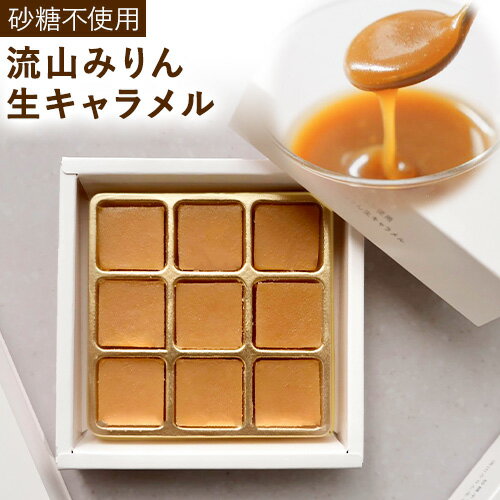 【ふるさと納税】株式会社WaCreation/machimin 流山みりん 生キャラメル《90日以内に出荷予定(土日祝除く)》千葉県 流山市 送料無料 お菓子 ...