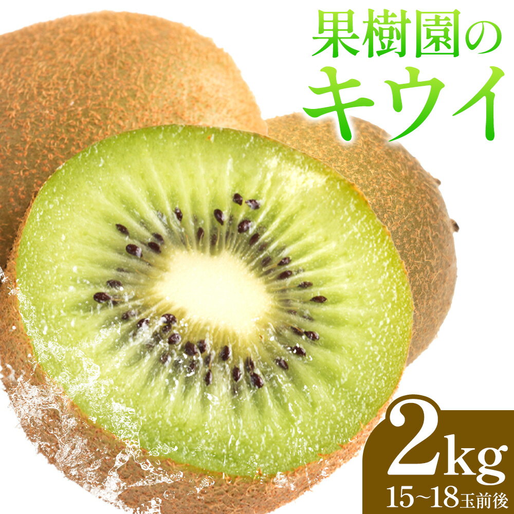 果樹園のキウイ 2kg (15~18玉) 水代果樹園[12月上旬-12月末頃より出荷]千葉県 流山市 果物 キウイ フルーツ グリーンキウイ ヘイワード