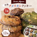 【ふるさと納税】スイーツアリッサム特製アメリカンクッキー 12枚入り【配送不可地域:離島】【1414442】