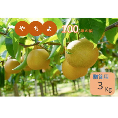 周郷梨園のやちよ100年梨(3kg)