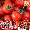 【ふるさと納税】【朝どり直送】きむら農園の高濃度ミニトマト約1.0kg うれしい小分け6パック完熟フルーツミニトマト【配送不可地域:離島・北海道・沖縄県・東北・...