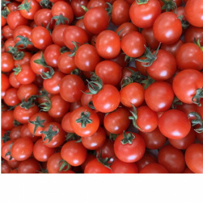 千葉県八千代市の画像2