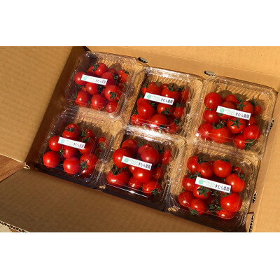 千葉県八千代市の画像3