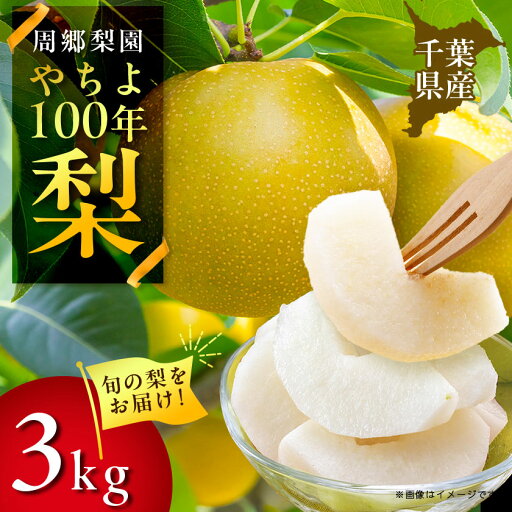 【ふるさと納税】2025年発送先行予約 周郷梨園のやちよ100年梨(3kg)【1493887】 【ふるさと納税】2025年発送先行予約 周郷梨園のやちよ100年梨(3kg)【1493887】