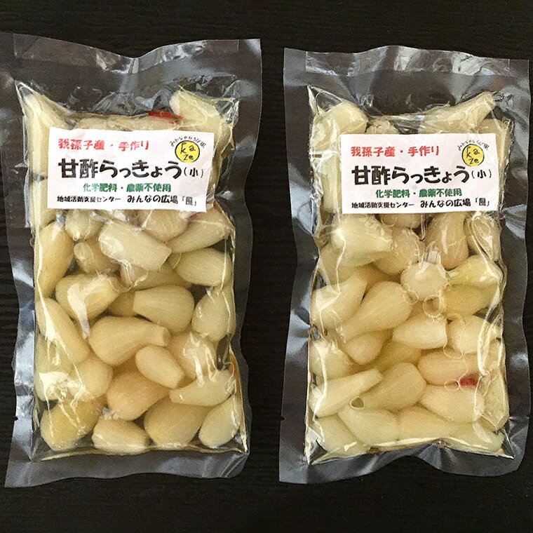 【ふるさと納税】らっきょう 漬物 手作り 甘酢らっきょう 160g × 2袋 セット 国産 甘酢 塩漬け 美味しい おすすめ 子供 お年寄り 年配 みんなの広場・風 福祉施設提供