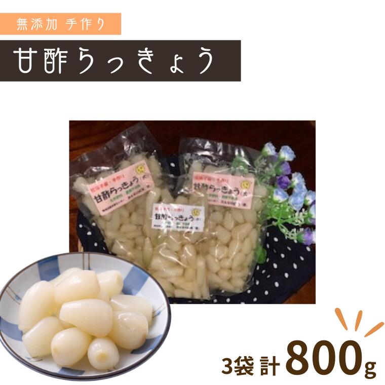 【ふるさと納税】らっきょう 手作り甘酢らっきょう 320g × 2袋 160g × 1袋 セット 1