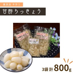 【ふるさと納税】らっきょう 手作り甘酢らっきょう 320g × 2袋 160g × 1袋 セット