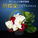 【ふるさと納税】【帝人ソレイユ】055(コ)胡蝶蘭 生花アレンジメント