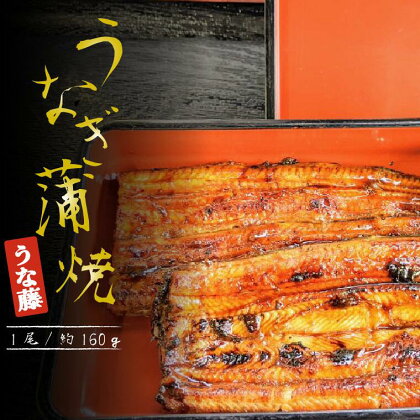 鰻 炭火焼 国産 うなぎ かば焼き 1尾 160g タレ 山椒付