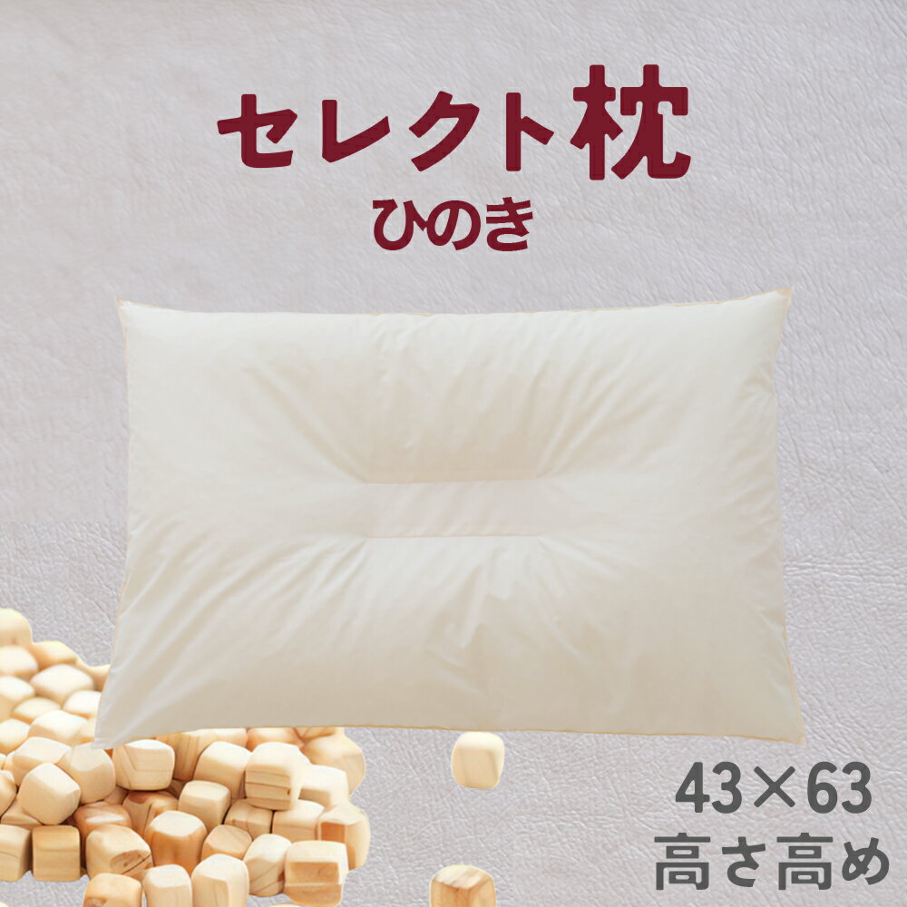 千葉県我孫子市の画像2