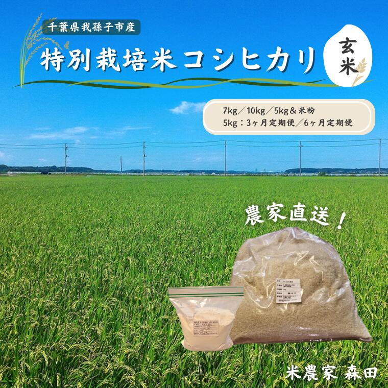 【ふるさと納税】玄米 定期便 単発 特別栽培米 コシヒカリ 選べる 5kg 7kg 10kg 米粉 500g