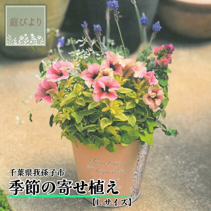 寄せ植え 花 季節の寄せ植え Lサイズ