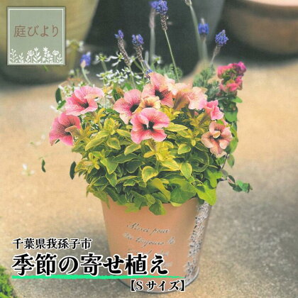 寄せ植え 花 季節の寄せ植え Sサイズ