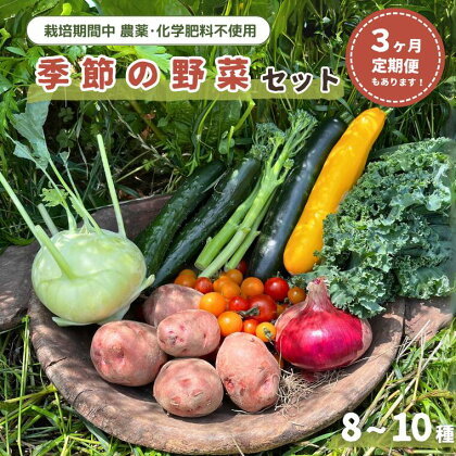 定期便 単発 野菜 おまかせ 季節の野菜セット (8~10種) 選べる