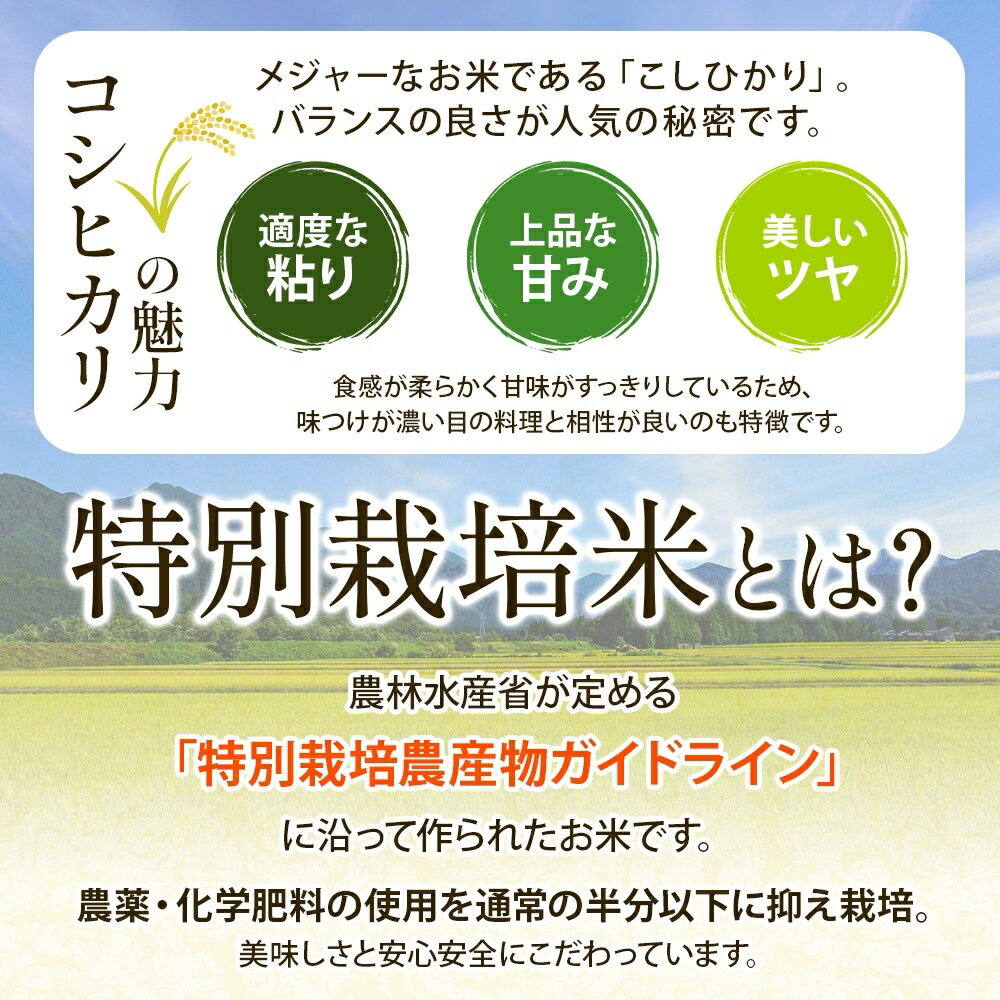 千葉県我孫子市の画像3