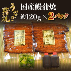 【ふるさと納税】No.023国産鰻蒲焼約120g×2パック