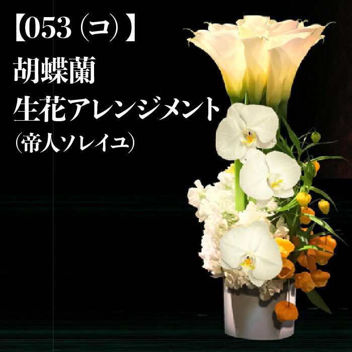【ふるさと納税】No.097【053(コ)】胡蝶蘭生花アレンジメント(帝人ソレイユ)/アレンジメントフラワー華やか花送料無料千葉県