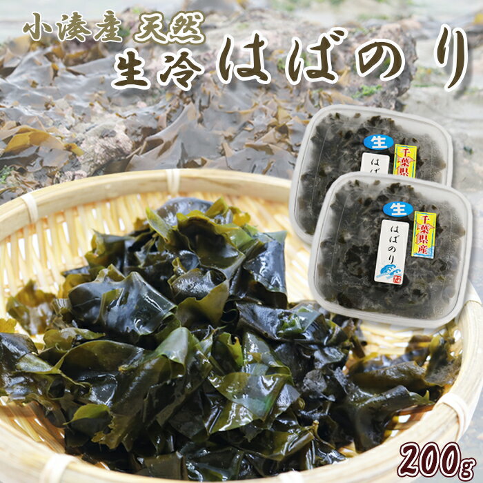 30位! 口コミ数「0件」評価「0」【極味のひもの特製】房州小湊産 天然『生冷 はばのり』200g《数量限定》　[0010-0284]