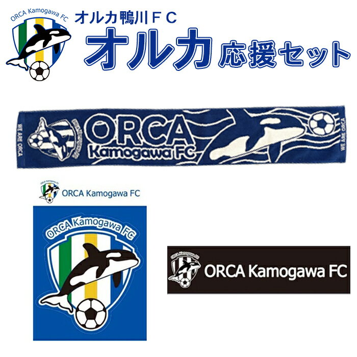 11位! 口コミ数「0件」評価「0」【オルカ鴨川FC】スタジアムをブルーに！オルカ応援セット　[0012-0007]